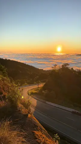 ทะเลหมอกที่สวยงามในรอบปี 67 ดอยอินทนนท์เชียงใหม่ ชมพระอาทิตย์ขึ้นตอนเช้า สัมผัสอากาศหนาวบนยอดดอย #ดอยอินทนนท์ #สตอรี่ #ทะเลหมอก #ชมพระอาทิตย์ขึ้น #การเดินทาง #บันทึกการเดินทาง 