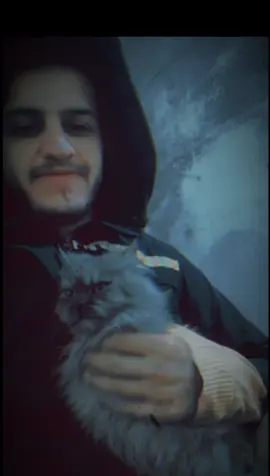 أبو شعلان كاتله البرد 🐱🥶 #مالي_خلق_احط_هاشتاقات 