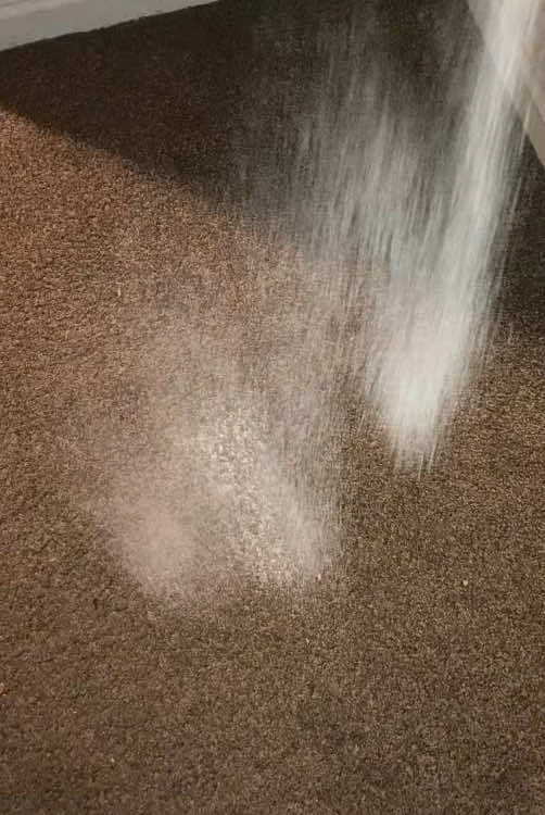 Upholstery Deodorizer 16 oz $6  Sprinkle upholstery deodorizer on the carpet before vacuuming and your home will smell amazing! ☀️ #cleaning #cleaningtiktok #cleaningtok 