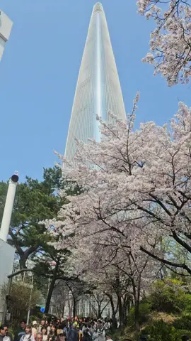 Welcome to seoul 🇰🇷 #seoul #southkorea #koreaselatan🇰🇷 #foryou #fyp #vibes #xyzbca 