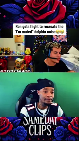 Ron gets flight to recreate the  “I’m muted” dolphin noise😭😭 #fyp #faze #stableronaldo 