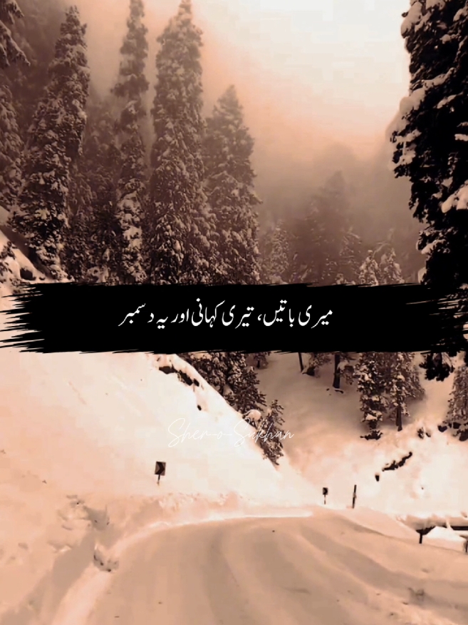 اور یہ دسمبر۔۔۔۔۔ #bestpoetry #fyp #december #foryoupage #sadpoetry #deeplines #ghazal #viral #trending #sher_o_sukhan 