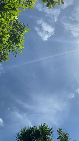 ✨🦋🕊️#langit #morningvibes #fyppppppppppppppppppppppp #bluesky 