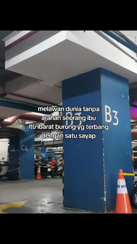 🕊️ #galaubrutal 