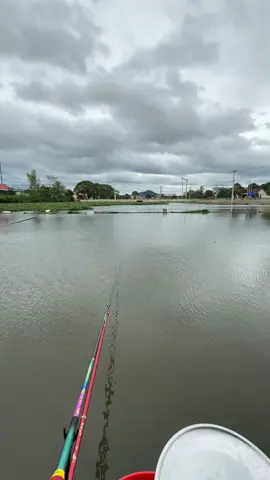 Móm cả tháng nay mới được nhớt lại đó mấy huynh🤣#câucagiaitri #câuđài77 