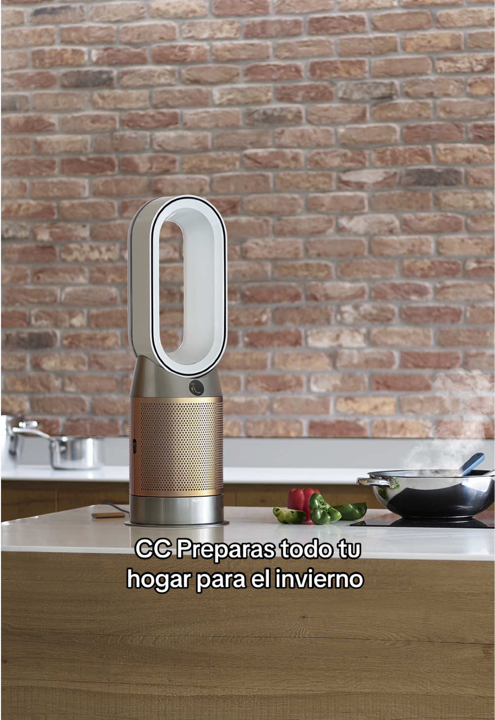 Tu hogar y tú necesitan un HP09 😍 Elimina virus 🦠 y calienta tu hogar al mismo tiempo 🔥 #DysonMx #Winter #CozyHome #PurificadoresDyson #ConSantanderConecto 