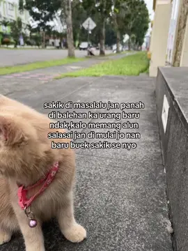 #minang #minangtiktok #kumpulankatakataminang #katakataminang #minangsadiah #minangviraltiktok #minangstory #minangfyp 