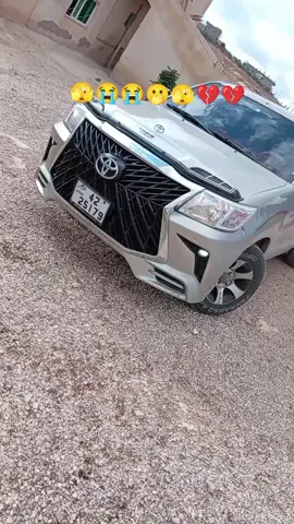 #ارويشد #اليمن🇾🇪المملكة🇸🇦 #العراق_السعوديه_الاردن_الخليج #فلصطين #اسعوديه #العراق #مصر 