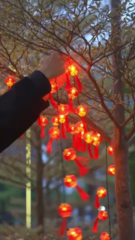 Đèn lồng trưng Tết nè nè #decor #nickdangdoibung #denlong #trangtri #trangtritet #tet 