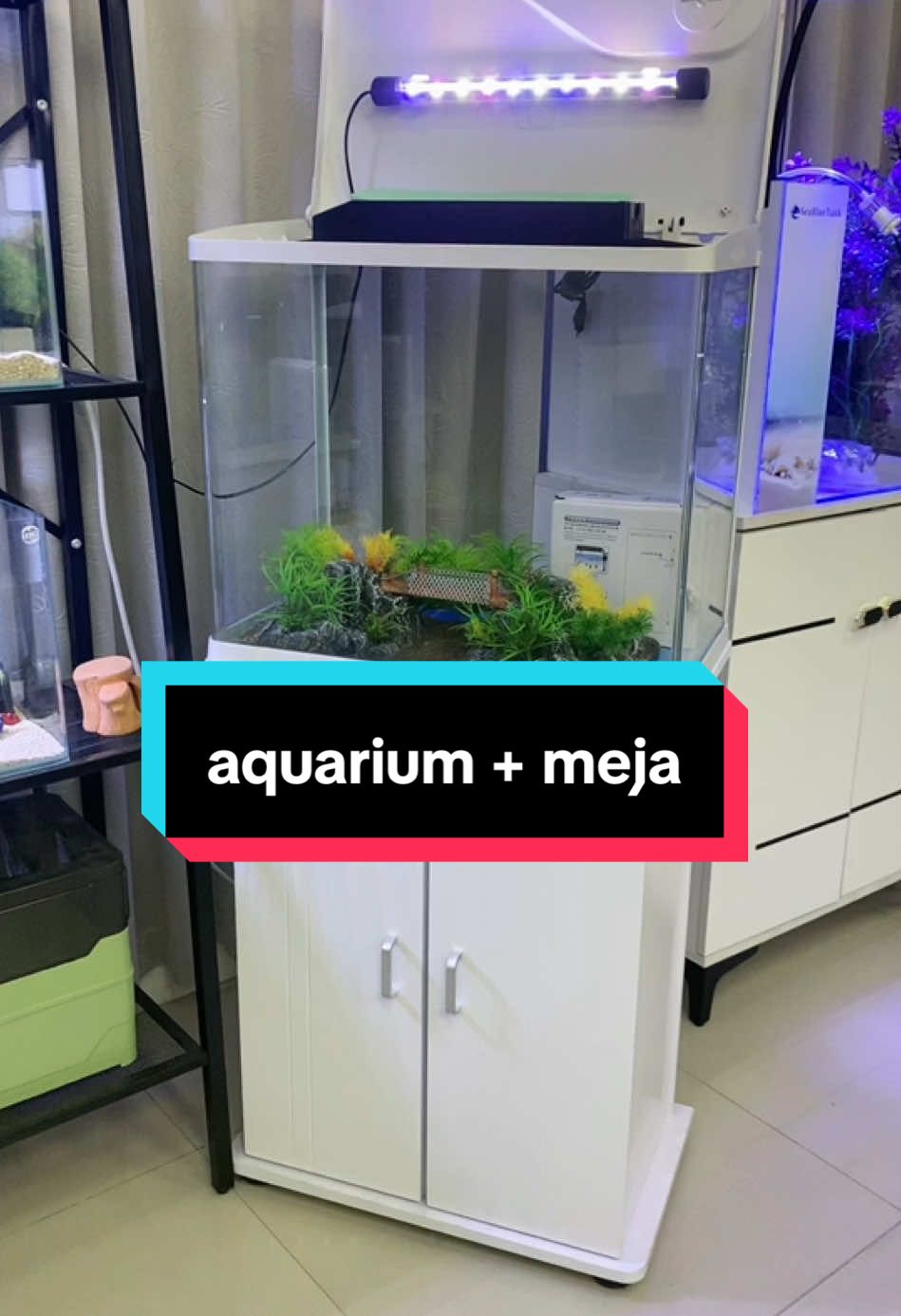 paket aquarium + meja dengan bahan kaca ukuran 50 cm #aquariumhobby #lepetaquarium #aquariumfish #aquascapeindonesia 
