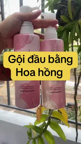 Dầu gội th.ơm như hoa hồng đang sa.le còn hơn 2.0.0🐠 gồm 1 gội 1 xả mỗi chai 5.3.0ml #pantene  #pantenemicellar  #daugoidau  #navacom 