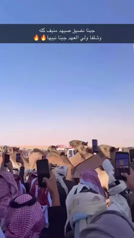 #شهران #الصياهد #محمد_حسن_الصقور #صاحب_النظر_محمد_حسن #بني_واهب_شهران🇸🇦 #كود_شهران #شهران_حكام_الجنوب #ام_المعارك #اكسبلورexplore #ناهس #بني_بجاد #قحطان_عدنان 