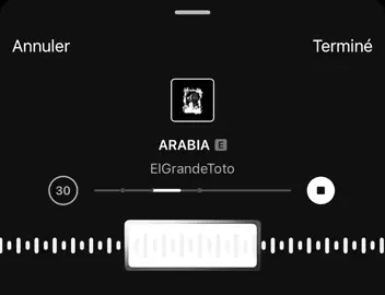 This song🔥💆🏻‍♂️. #morocco🇲🇦 #foryou #elgrandetoto🇲🇦 #arabia #algerie🇩🇿 #🇲🇦 