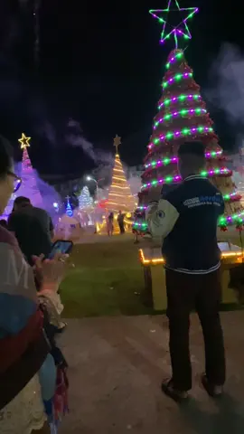 #toraja #torajalightfestival #torajasulawesiselatan #christmas #fyp 