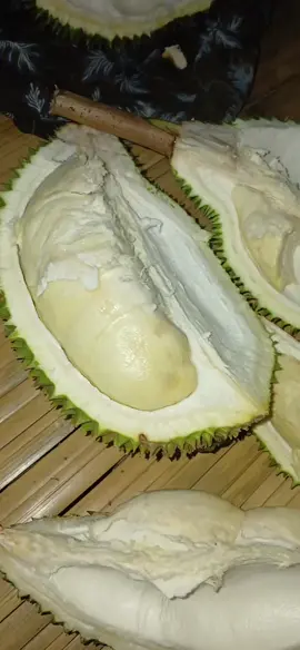 malam malam makan duren duren  baduy 