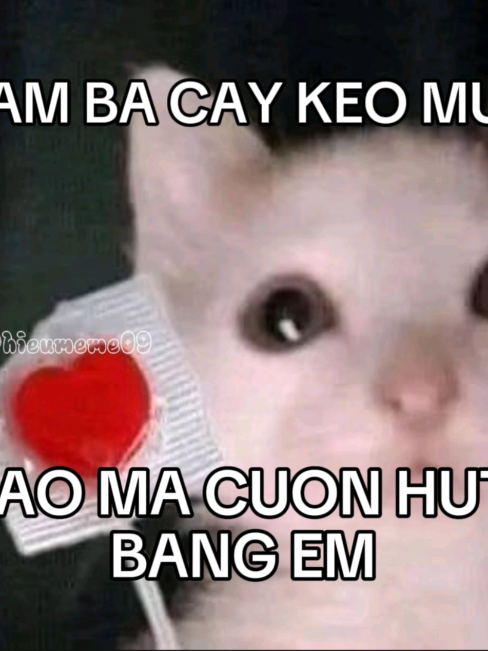 DAM BA CAY KEO🍭🍭🍭 #viral #music #lyrics #lunglinh #nhachaymoingay #hieumeme09 #fyp #nhacchill #nhactinhyeu 