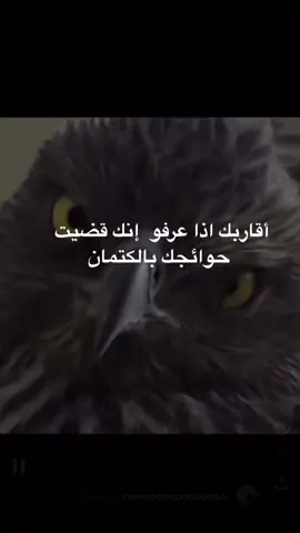 ااااششششش#مالي_خلق_احط_هاشتاقات🧢 #fyppppppppppppppppppppppp #نجف 