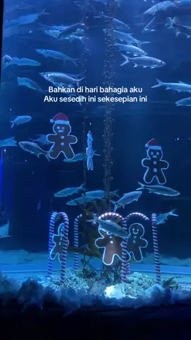 Part bahagianya gaada 