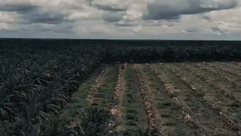 dibalik suksesnya suatu proyek pasti ada  kata 