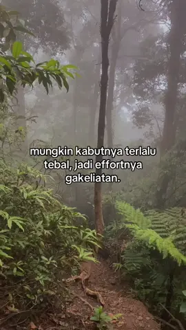 effortmu kemarin dapet apa? #pendakigunung #pendakiindonesia #pendaki #gunung 