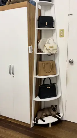 Corner Cabinet perfect for small spaces!! Check my yellow basket!! #fyp #foryoupage #smallroom #smallspaces #cornercabinet #cornerrack #bagstorage #rack #roomideas #roomdecoration #homebuddiesph #homebuddiesph #teamputi 