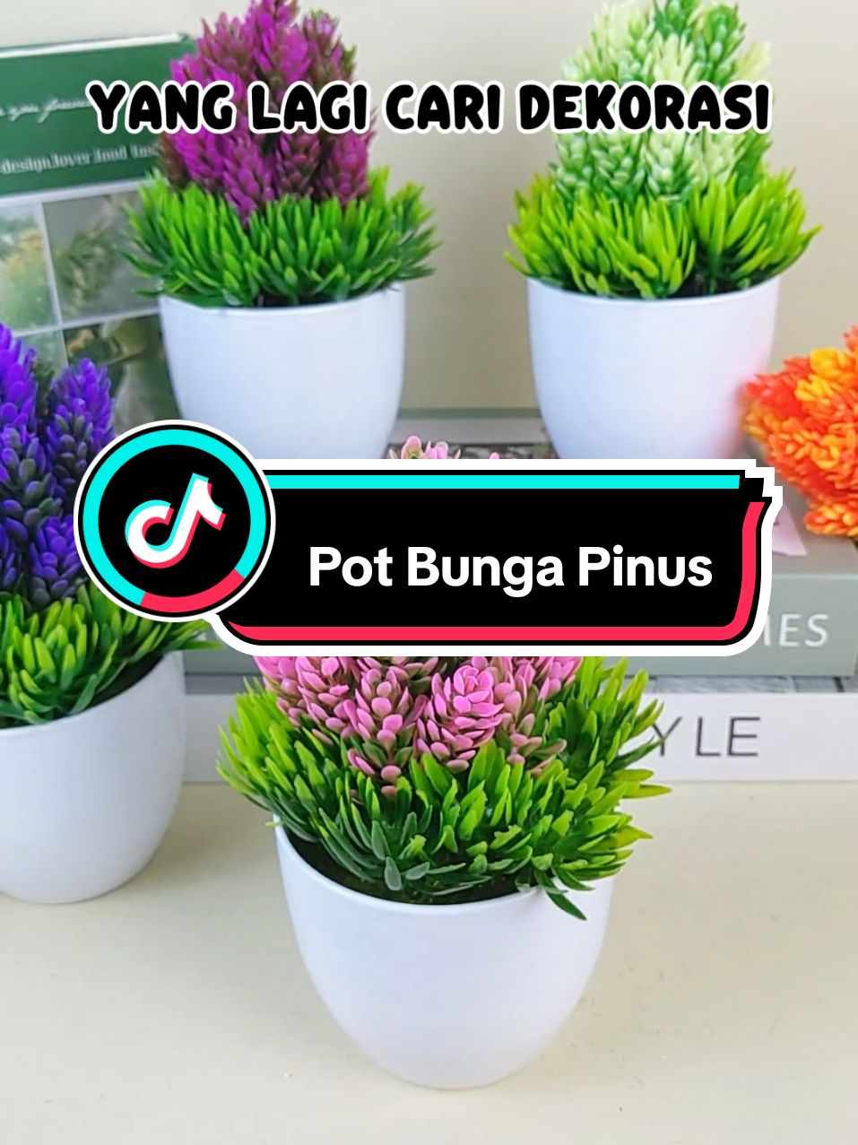 beneran cuman 8 ribuan aja nih? 😭 #potbunga #bungapinus #pinus #bungaplastik #dekorasikamar 