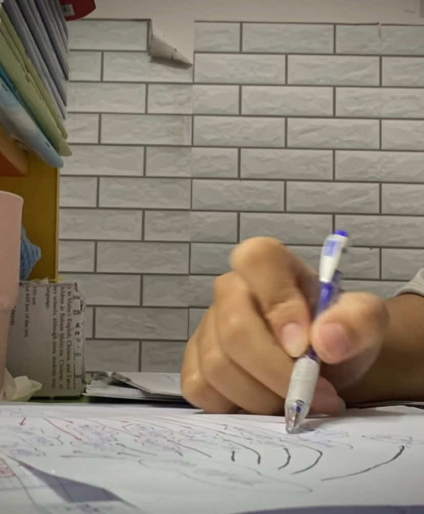 vẫn là góc học tập bừa bộn ấy 🥰📚#viral #viraltiktok #hocsinhcap3 #fypシ゚ #fyp #học_sinh #xuhuong #xuhuongtiktok #trending #ziinthichhoc #độnglực #studywithme #độngluchoctap #hoctap📚 #độngluchoctap💪💪 