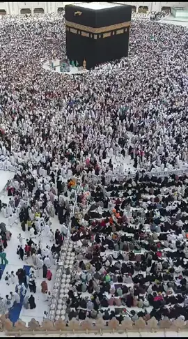 بسم الله ماشاء الله بعد صلاه العصر الازدحم الكثير