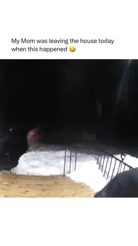 It’s important to note she kept cool, calm and collected 🙏 (Jessica Patrzyk via ViralHog) #Memezar #RoadTo10M 