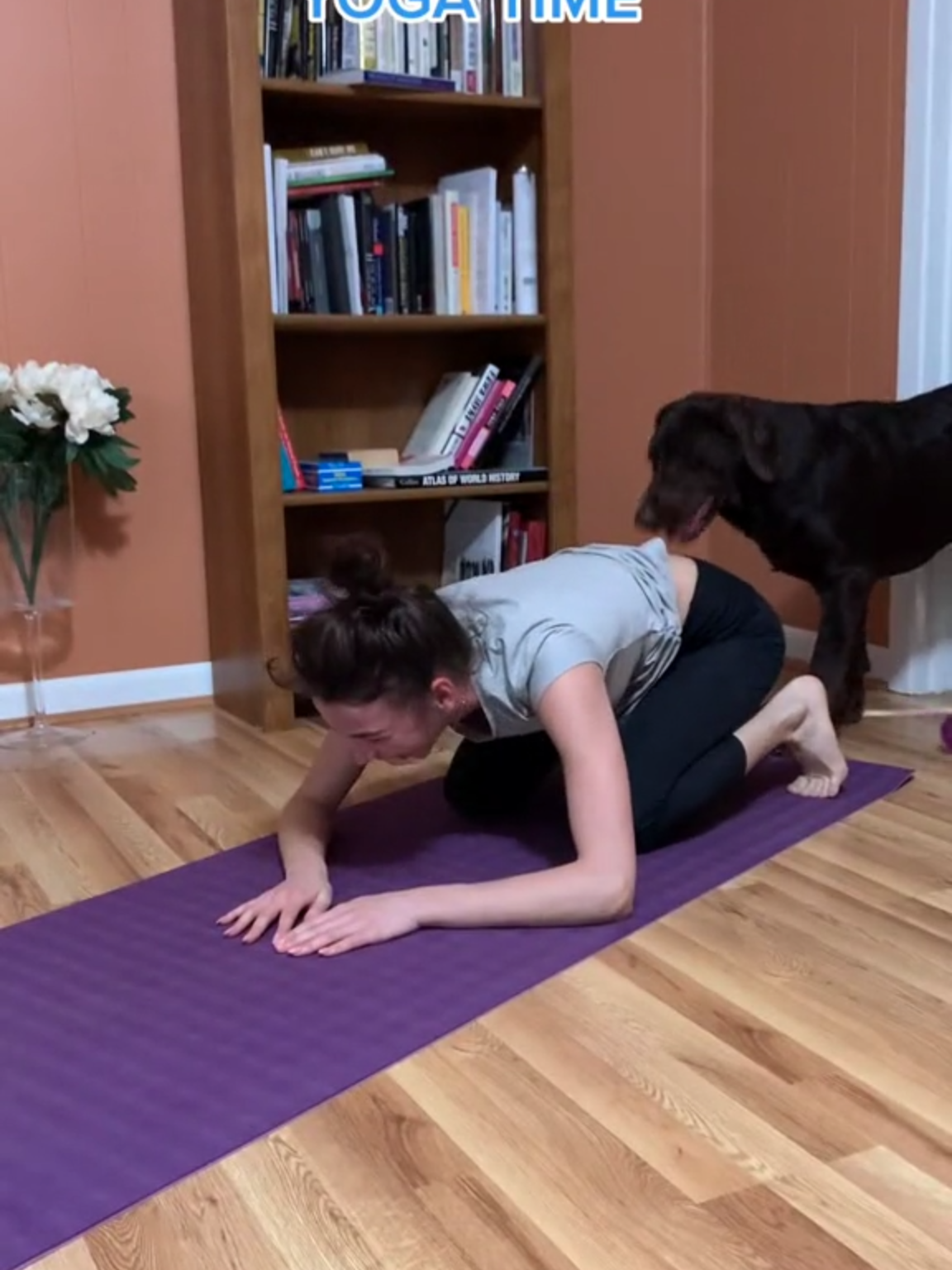 #yogagirl#william#fyp#beforeandafter#mydogslife#denisefrazier#denisefraziervideo#fyppp #fypp#Missisippi#foryour#foryoupage❤️❤️ #doggo#doggosoftiktok#doglovers#xyzbcafyp #knot