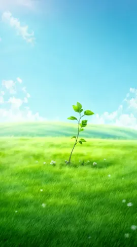 The Apple Through Time: A Timeloop of Nature 🍏 #AppleTree #LifeCycle #GrowthJourney #TreeOfLife #appleseason🍎 #NatureLovers #CreativeContent #TimeLoop #TimelapseArt #CinematicNature #aicontent 