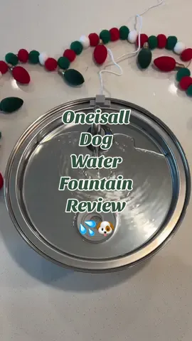 Would your dog drink from a fountain? 🐶💦  This @oneisallofficial fountain is both Holly & Milkshake approved ✨ #unboxing #review #waterfountain #oneisall #oneisallpartner #dogmom #catmom #petfountain 