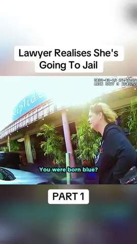 Part 1 - 	Lawyer Realises She's Going To Jail	#fyp #viral #foryou #cops #copsoftiktok #copsontiktok #police 