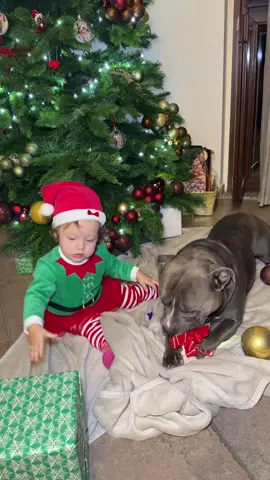 Che monelli furbacchioni 🙄😤😍🥰🎁