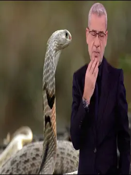 الحية لها جلد ناعم #مصطفى_الاغا #اقتباسات_عبارات_خواطر🖤🦋❤️ #اكسبلور #psychology #viral_video #explore #حكمة #علم_النفس_وتطوير_الذات #خواطر #الحلم #تحفيزات_إيجابية #اللهم_صلي_على_نبينا_محمد #اقتباسات #خواطر #