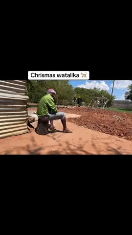 Christmas gone wrong 😂