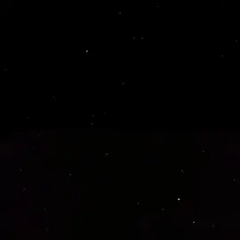 بطل بطل بطل#زيد_بقر_الشام 