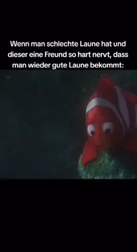 du alter Schmollmops😘