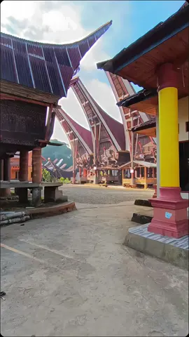 💯 #toraja #rumahtongkonan #torajasulawesiselatan #foryoupage #fy #fyp 