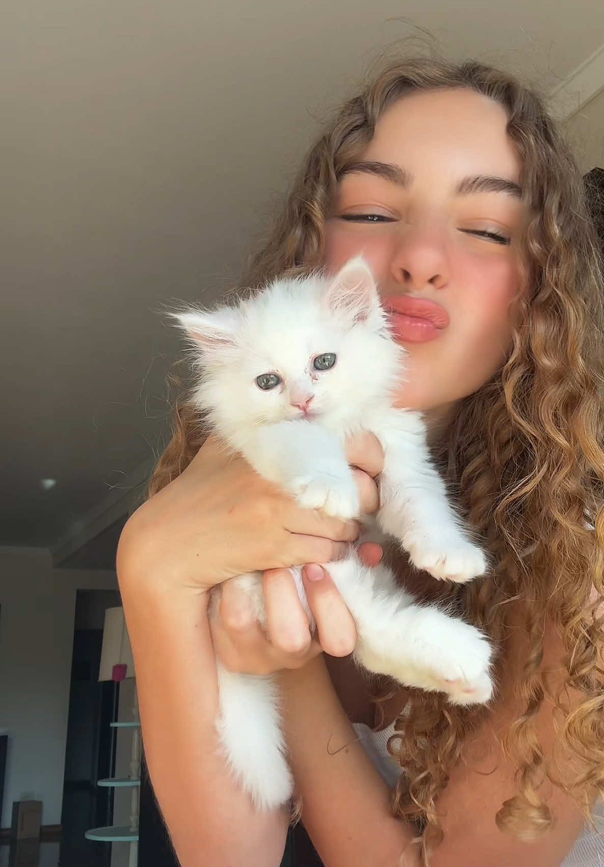 tengo a marie🎀 #babycat 