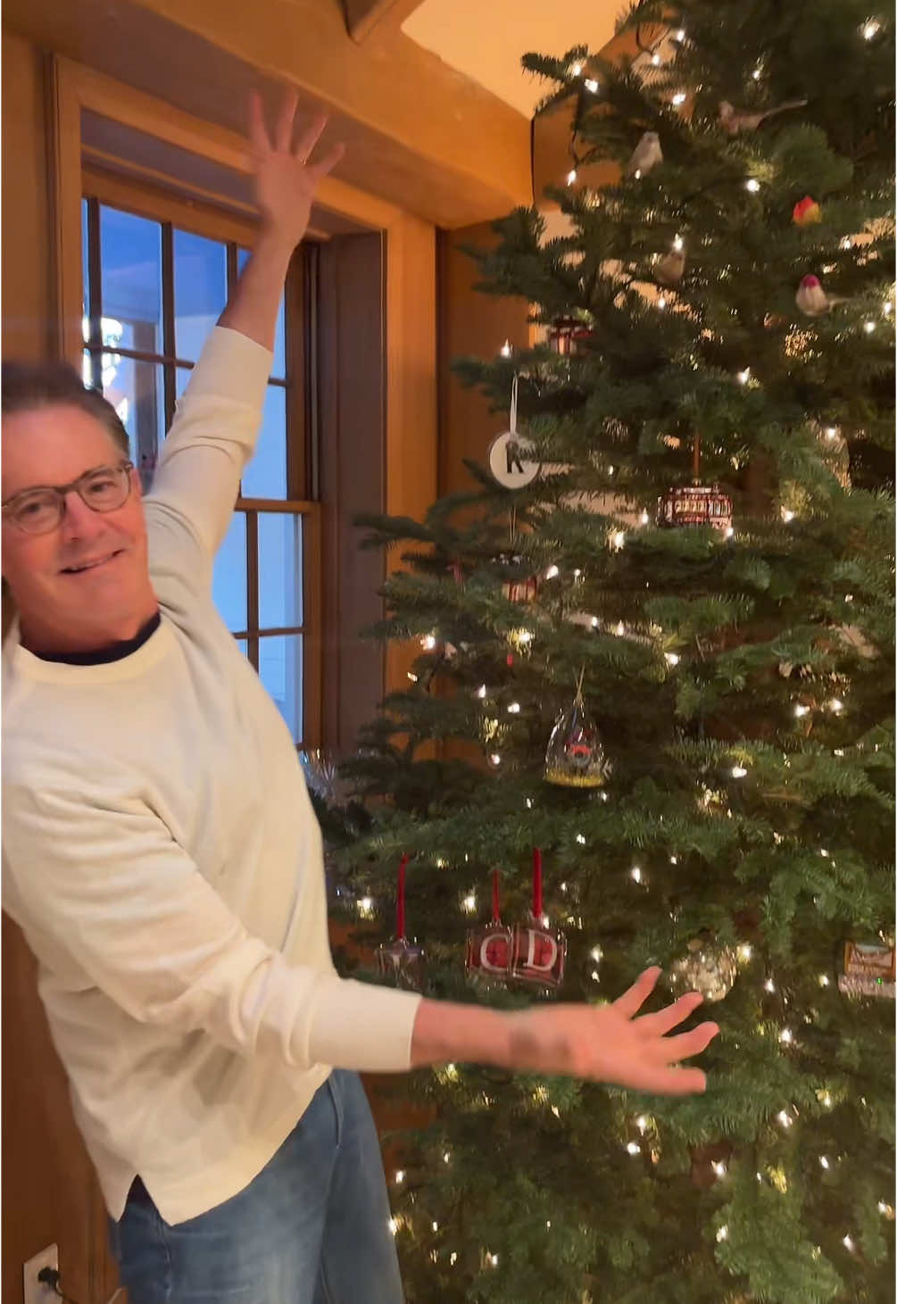 sleighed my tree this year 🤌🤗🎄