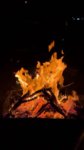 ليل الشتا ونار مع بنن وهيل 🤍.  #تصويري #اجواء_الشتاء #نار #اكسبلورexplore #تصميم_فيديوهات🎶🎤🎬 #fyp 