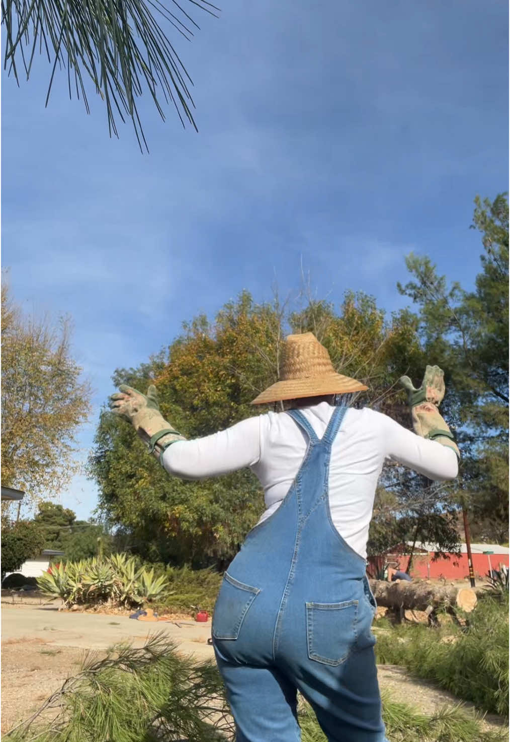 Work day!! Can i get to 16k? #posechallenge #pose  #posedance #trendingdance #foryoupage #viralvideo #viral #abcxyz #xyzabc #dance #grandma #funnygrandma #peggynation 