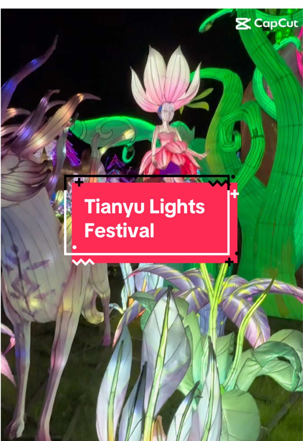 From now - January 19th, 2025, experience an enchanting night with Koda's Adventure to the Magical Forest at Texas Trust CU Theatre Festival Grounds in Dallas! Walk through the whimsical wonderland to see Koda's dreams through the luminous art installations @Tianyu Lights Festival  Dylan loved the experience of the Tianyu Lights Festival and so did 1. Open all week of Dec. 23rd and Dec. 30th, including Christmas Day and New Year's Eve. 💚:  Walk Up Tickets- General Admission(age 12 and above): $35 Children (age 3-11): $25 💜:  Online Weekday-Sunday, Tuesday-Thursday General Admission (age 12 and above): $23 Child (age 3-11): $16 Family 4 Pack (2 adults and 2 children) : $66 Infant (under 3): FREE 🌺:Online Weekend-Friday, Saturday and Holidays General Admission (age 12 and above): $26 Children(age 3-11): $20 Family 4 Pack (2 adults and 2 children): $78 Infant (under 3): FREE 📍. Texas Trust CU Theatre     Festival Grounds, 1001 Texas Trust Way, Grand Prairie, TX 75050 #fyp #tianyulightsfestival #grandprairietx #dfw #invitedby 