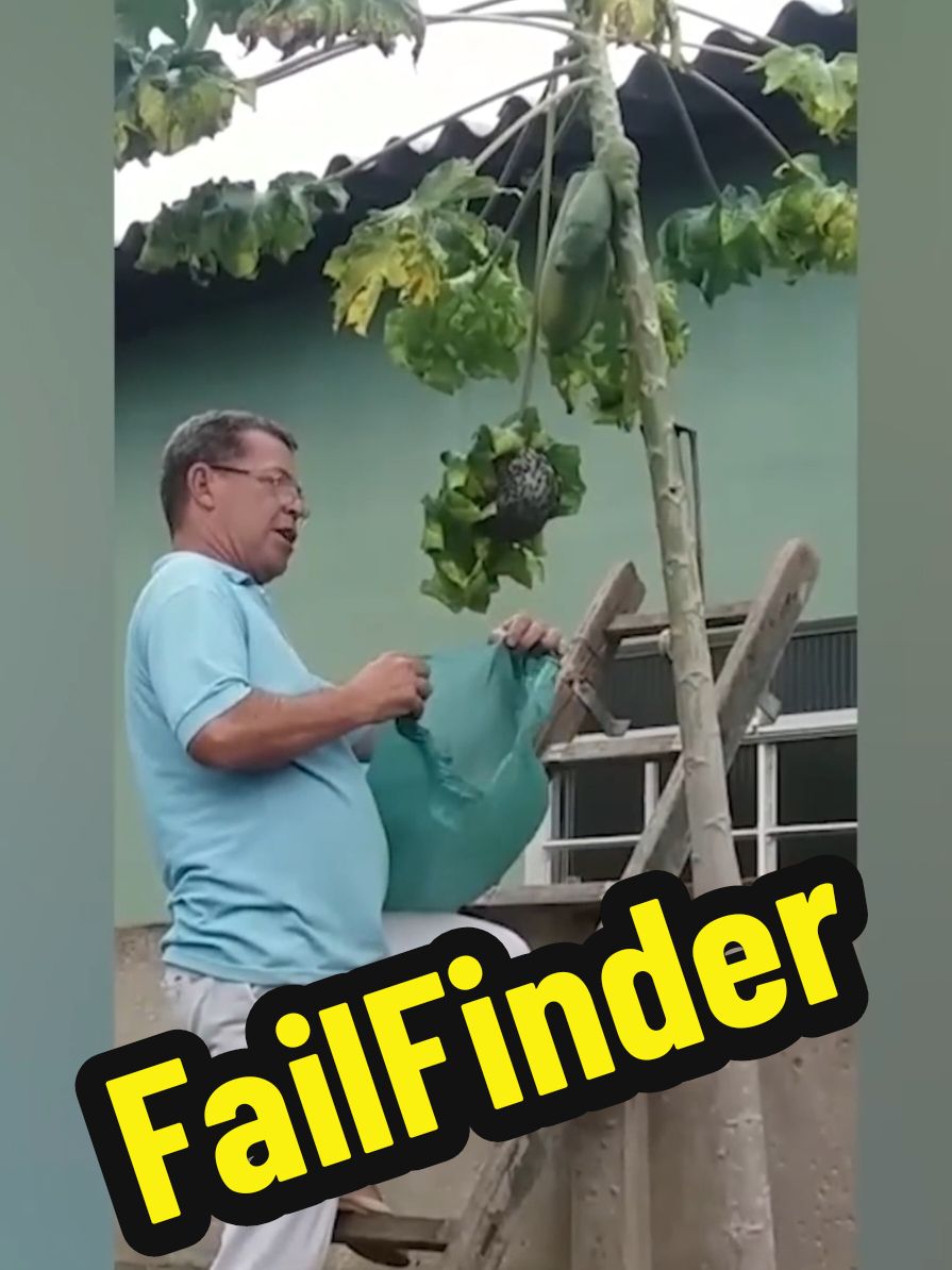 Fail Finder funny try not to laugh challenge 2024  #funny #comedy #fails #laugh  #hilarious #fail 