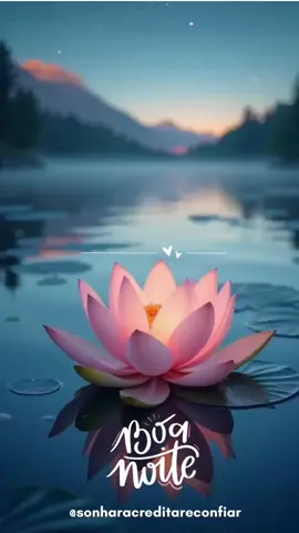 Boa Noite 🌙💫 . . . #boanoite #capcut #capcutholiday #mensagem #reflexao #frases #natal #vem2025 #Canva 