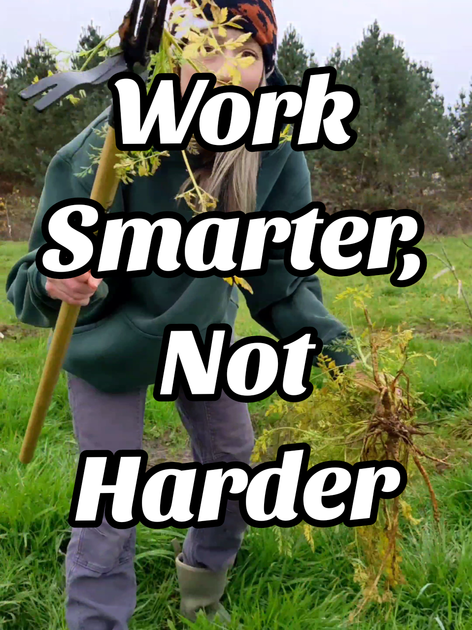 Replying to @rexx_theratking Working smarter, not harder with Grampa's Weeder tool. @Grampas Gardenware Co.  #grampasweeder #gardentools #gardening #gardening101 #foraging #gardeninghacks #gardeningtips #queenanneslace #tiktokshop #tiktokmademebuyit 