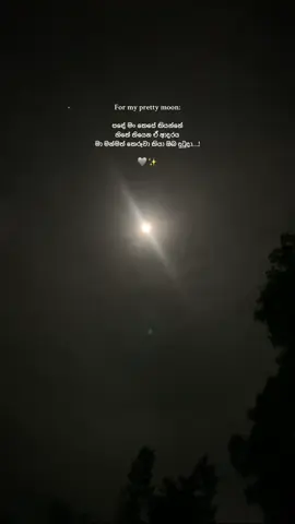 You are my Moon 🥺❤️.. #CapCut #fyp #fyr #fypage #fyppppppppppppppppppppppp #onemillionaudition #viral #relatable #whatsappstatus #quotes #life #TrueLove #tiktok #tiktokviral #Love #Relationship #moon #stars #sky #nightsky 