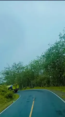 fypppp
