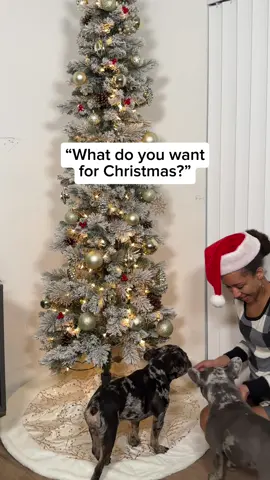 All I want for Christmas is space! 📦